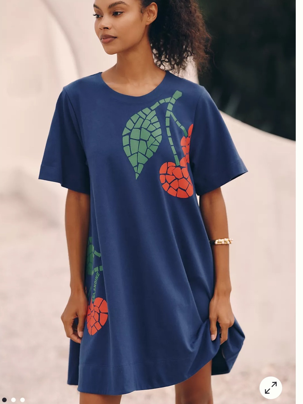 Celandine Cherry Print Swing T-Shirt Dress Small Blue 100% Cotton Anthropologie